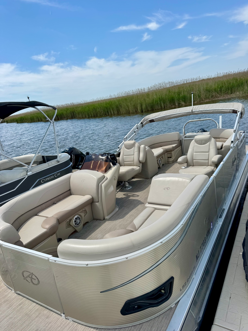 Pontoon boat docked by a grassy shoreline under a blue sky.